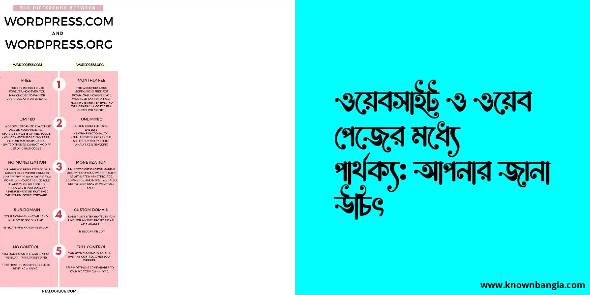 ওয়েবসাইট ও ওয়েব পেজের মধ্যে পার্থক্য: আপনার জানা উচিৎ