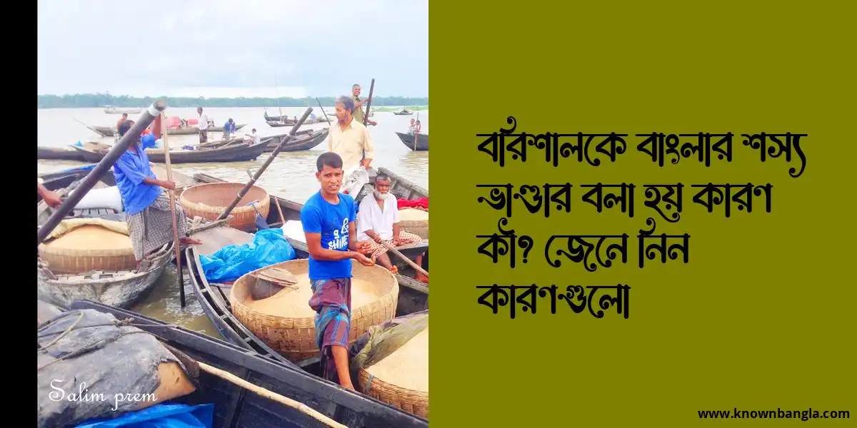 বরিশালকে বাংলার শস্য ভাণ্ডার বলা হয় কারণ কী? জেনে নিন কারণগুলো