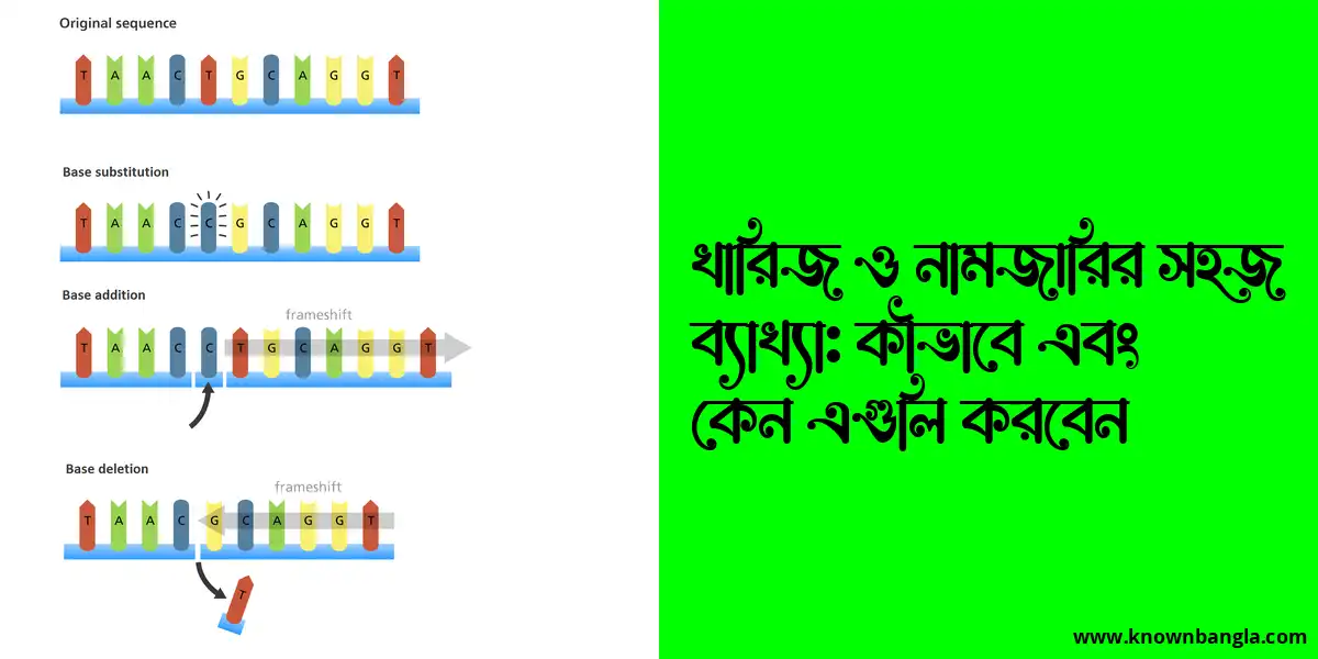 খারিজ ও নামজারির সহজ ব্যাখ্যা: কীভাবে এবং কেন এগুলি করবেন