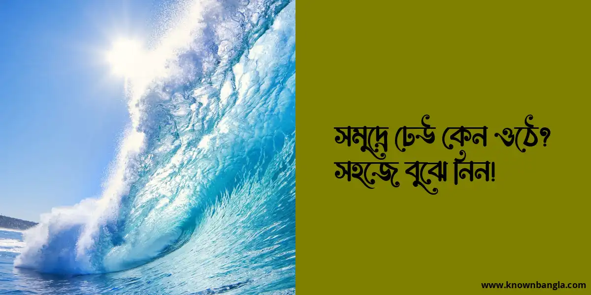 সমুদ্রে ঢেউ কেন ওঠে? সহজে বুঝে নিন!