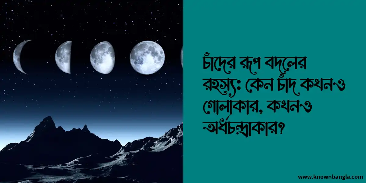 চাঁদের রূপ বদলের রহস্য: কেন চাঁদ কখনও গোলাকার, কখনও অর্ধচন্দ্রাকার?