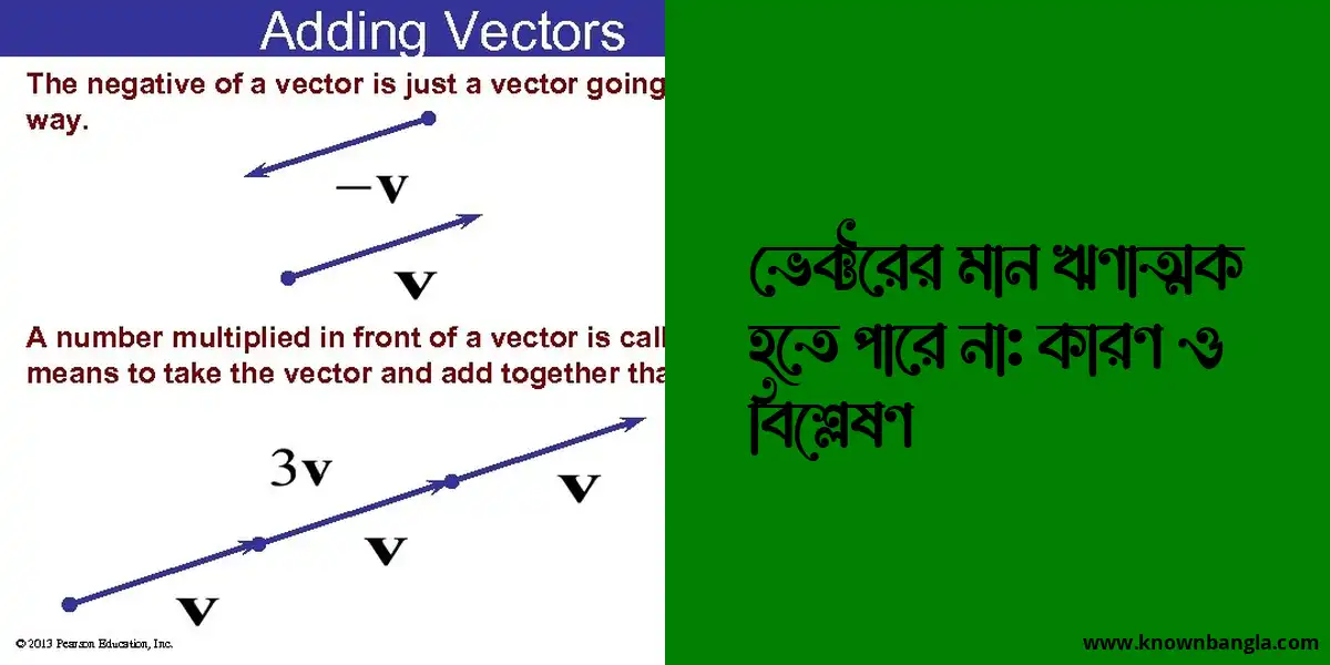 ভেক্টরের মান ঋণাত্মক হতে পারে না: কারণ ও বিশ্লেষণ