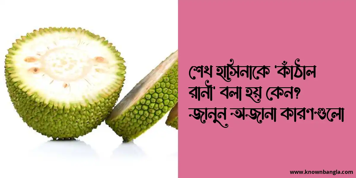 শেখ হাসিনাকে ‘কাঁঠাল রানী’ বলা হয় কেন? জানুন অজানা কারণগুলো