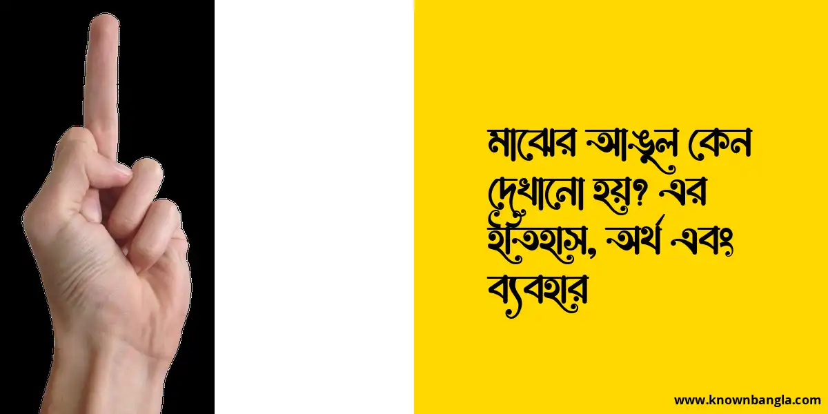 মাঝের আঙুল কেন দেখানো হয়? এর ইতিহাস, অর্থ এবং ব্যবহার