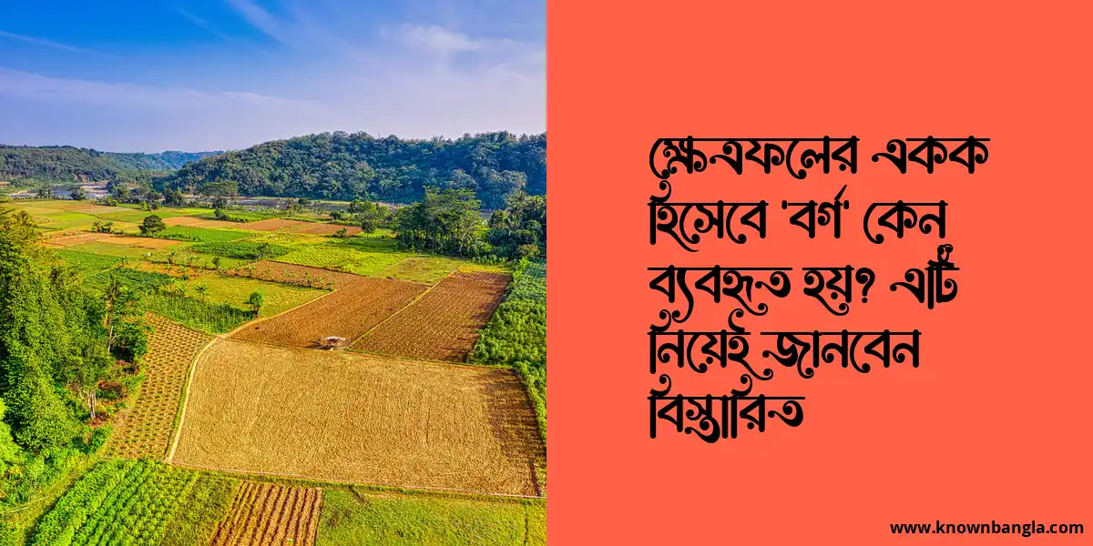 ক্ষেত্রফলের একক হিসেবে ‘বর্গ’ কেন ব্যবহৃত হয়? এটি নিয়েই জানবেন বিস্তারিত