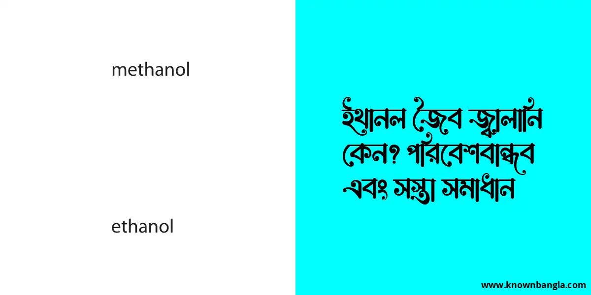 ইথানল জৈব জ্বালানি কেন? পরিবেশবান্ধব এবং সস্তা সমাধান