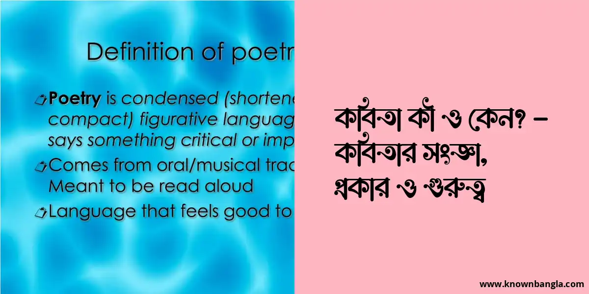 কবিতা কী ও কেন? – কবিতার সংজ্ঞা, প্রকার ও গুরুত্ব