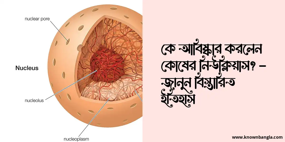 কে আবিষ্কার করলেন কোষের নিউক্লিয়াস? – জানুন বিস্তারিত ইতিহাস