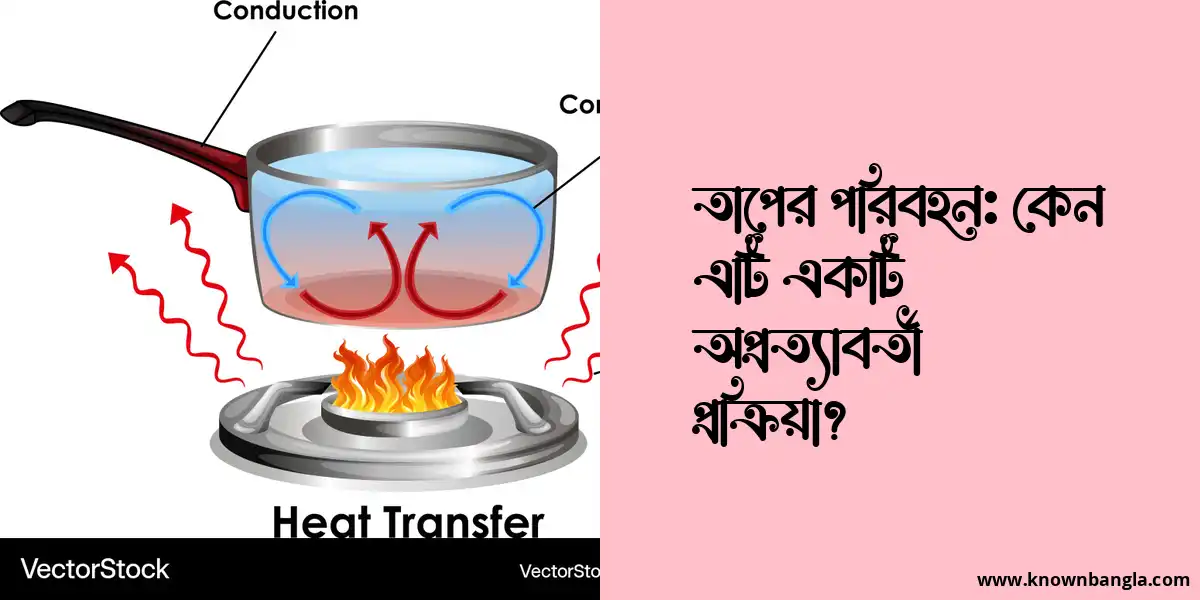 তাপের পরিবহন: কেন এটি একটি অপ্রত্যাবর্তী প্রক্রিয়া?