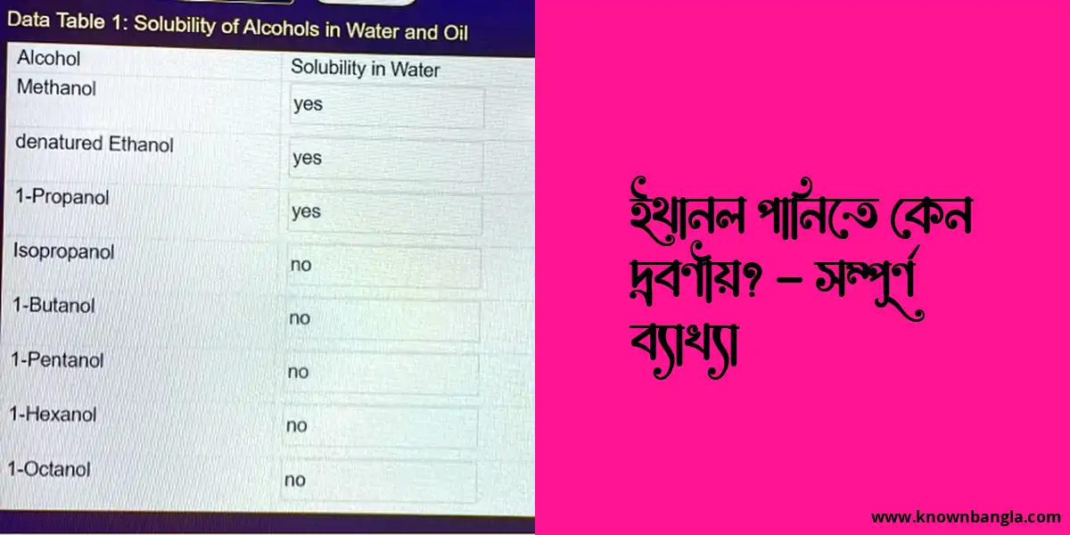 ইথানল পানিতে কেন দ্রবণীয়? – সম্পূর্ণ ব্যাখ্যা