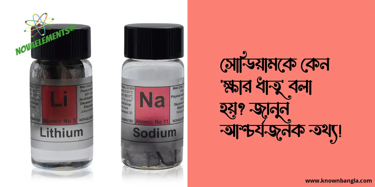 সোডিয়ামকে কেন ‘ক্ষার ধাতু’ বলা হয়? জানুন আশ্চর্যজনক তথ্য!