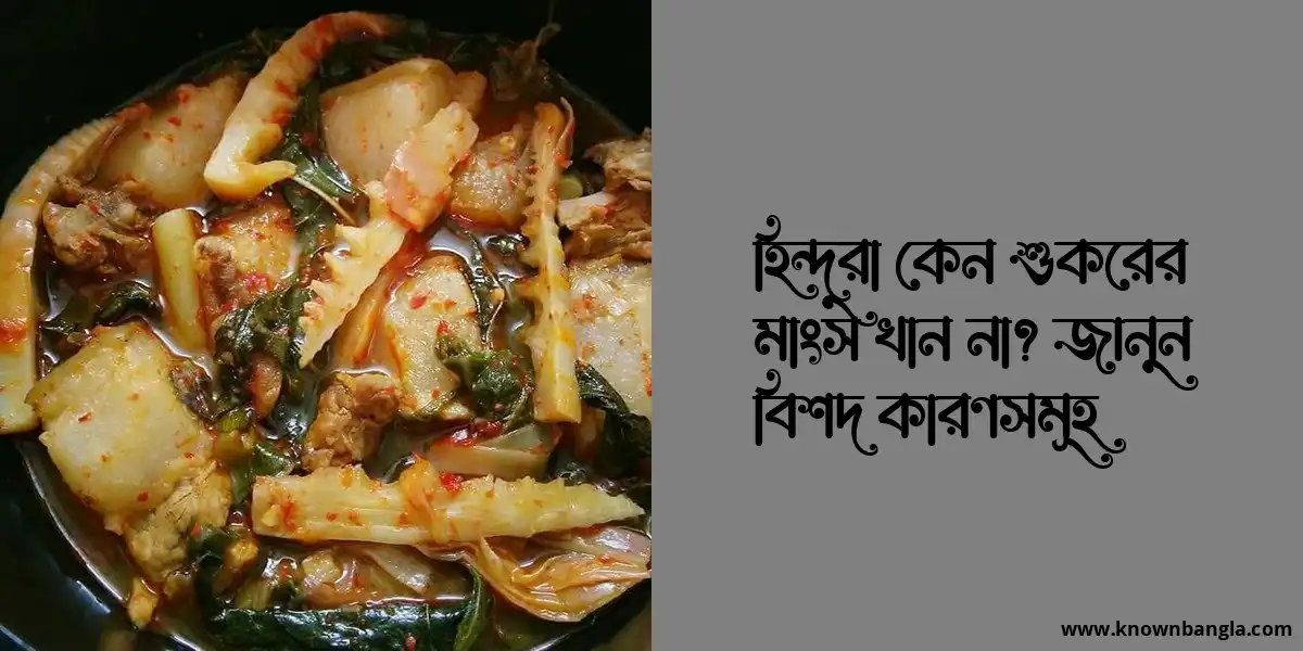 হিন্দুরা কেন শুকরের মাংস খান না? জানুন বিশদ কারণসমূহ