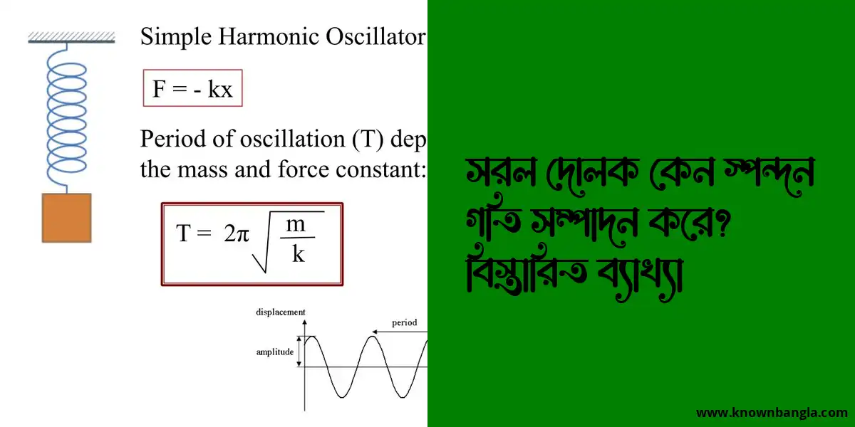 সরল দোলক কেন স্পন্দন গতি সম্পাদন করে? বিস্তারিত ব্যাখ্যা