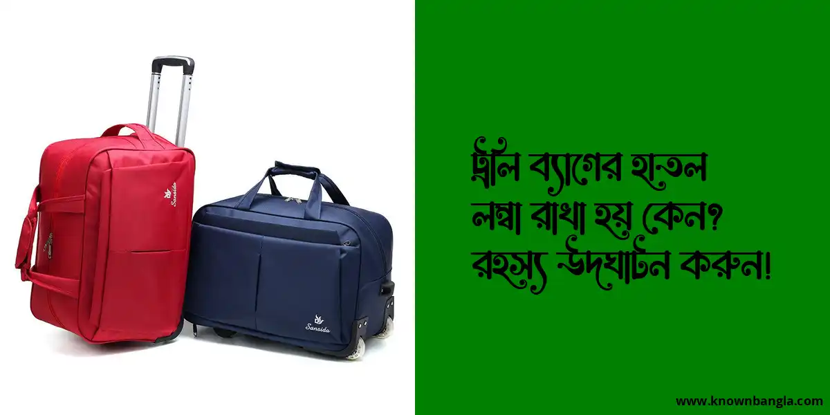 ট্রলি ব্যাগের হাতল লম্বা রাখা হয় কেন? রহস্য উদঘাটন করুন!