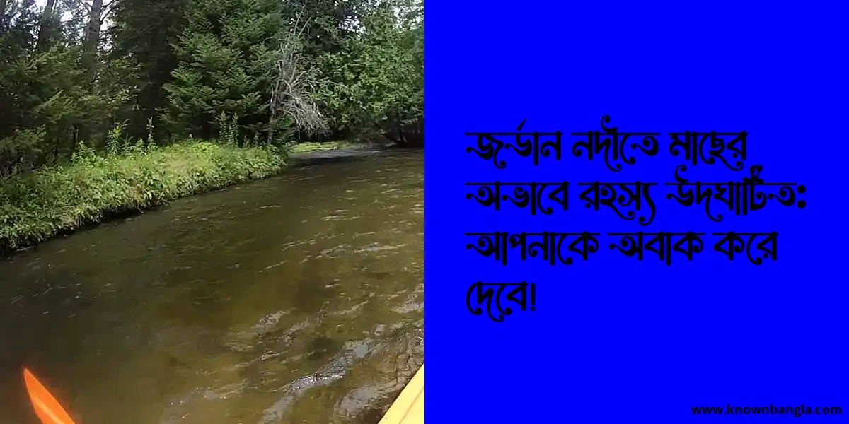 জর্ডান নদীতে মাছের অভাবে রহস্য উদঘাটিত: আপনাকে অবাক করে দেবে!