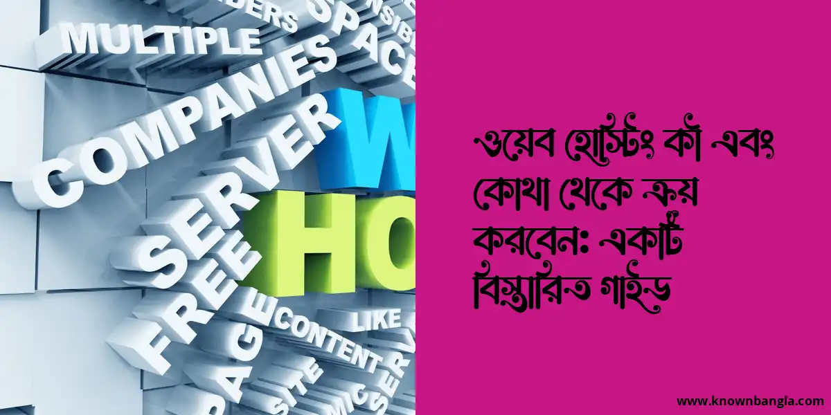 ওয়েব হোস্টিং কী এবং কোথা থেকে ক্রয় করবেন: একটি বিস্তারিত গাইড