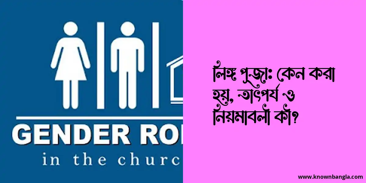 লিঙ্গ পূজা: কেন করা হয়, তাৎপর্য ও নিয়মাবলী কী?