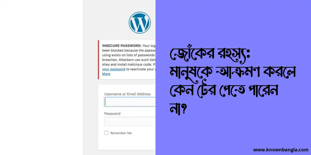 জোঁকের রহস্য: মানুষকে আক্রমণ করলে কেন টের পেতে পারেন না?