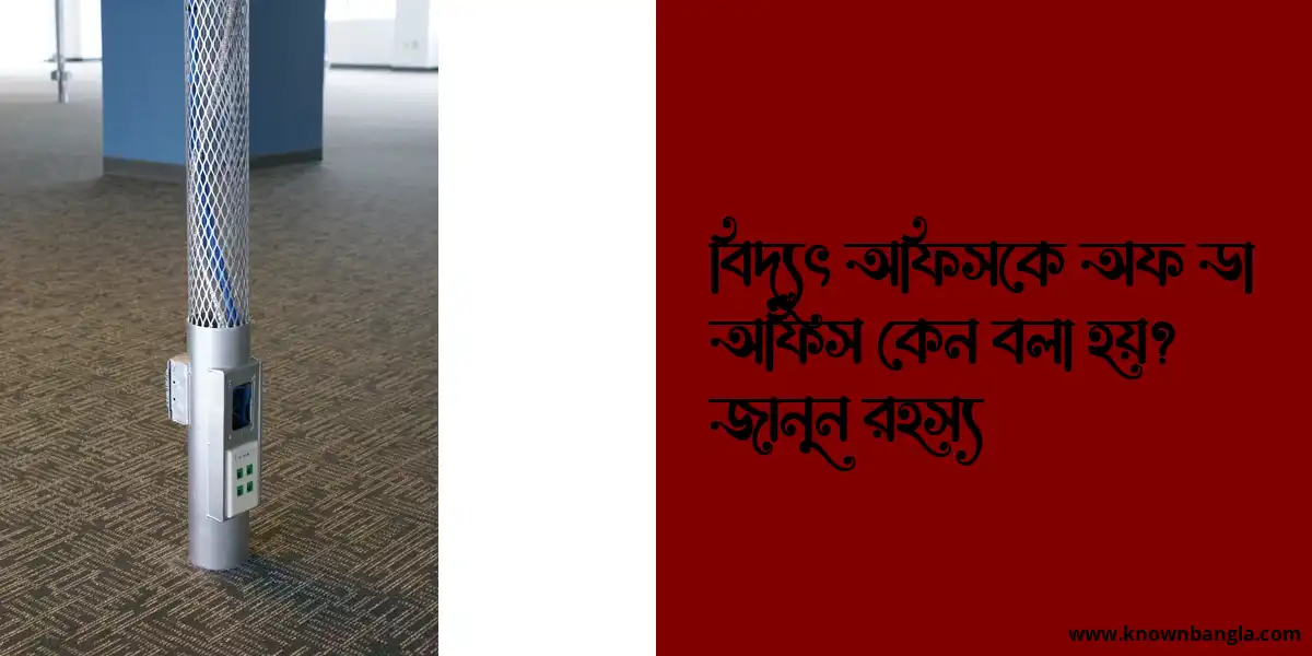 বিদ্যুৎ অফিসকে অফ ডা অফিস কেন বলা হয়? জানুন রহস্য