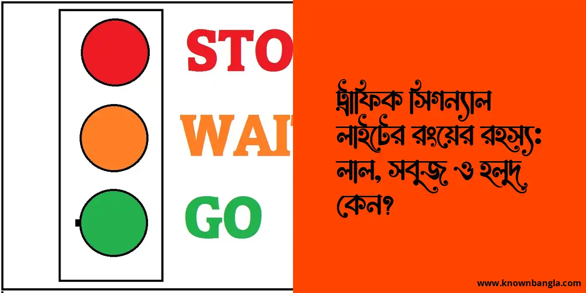 ট্রাফিক সিগন্যাল লাইটের রংয়ের রহস্য: লাল, সবুজ ও হলুদ কেন?