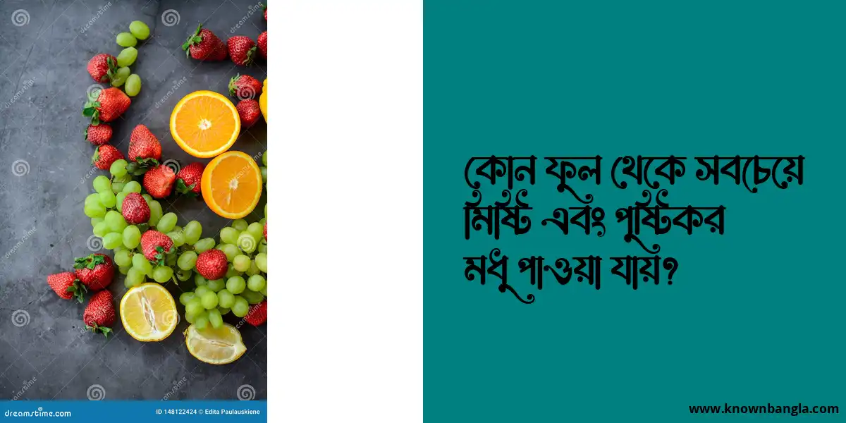 কোন ফুল থেকে সবচেয়ে মিষ্টি এবং পুষ্টিকর মধু পাওয়া যায়?