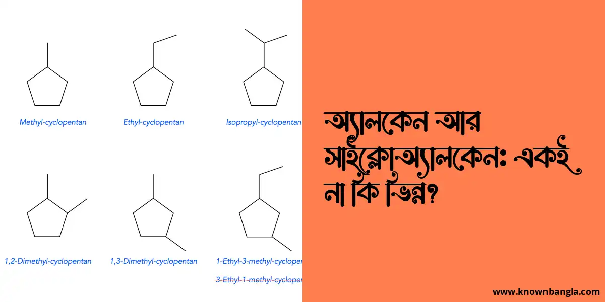 অ্যালকেন আর সাইক্লোঅ্যালকেন: একই না কি ভিন্ন?