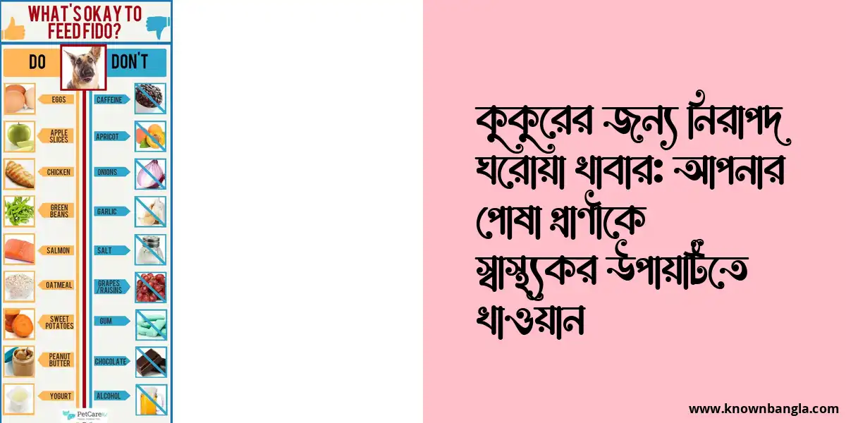 কুকুরের জন্য নিরাপদ ঘরোয়া খাবার: আপনার পোষা প্রাণীকে স্বাস্থ্যকর উপায়টিতে খাওয়ান