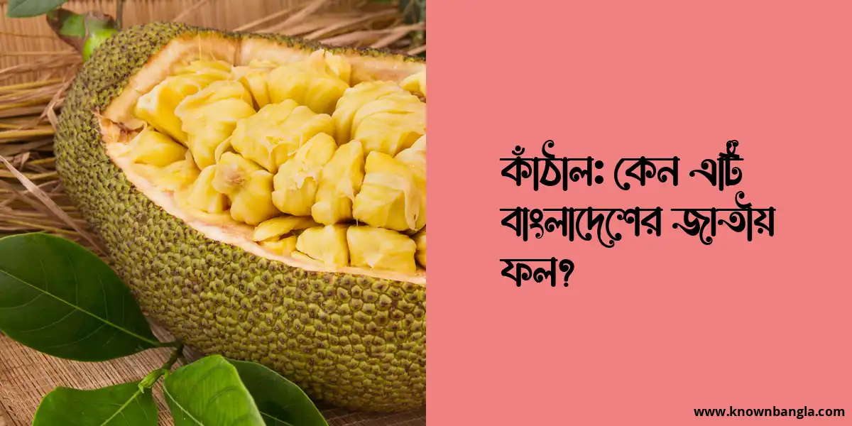 কাঁঠাল: কেন এটি বাংলাদেশের জাতীয় ফল?