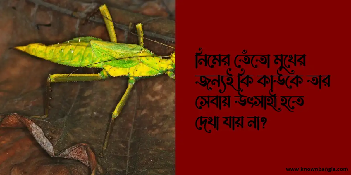 নিমের তেঁতো মুখের জন্যই কি কাউকে তার সেবায় উৎসাহী হতে দেখা যায় না?