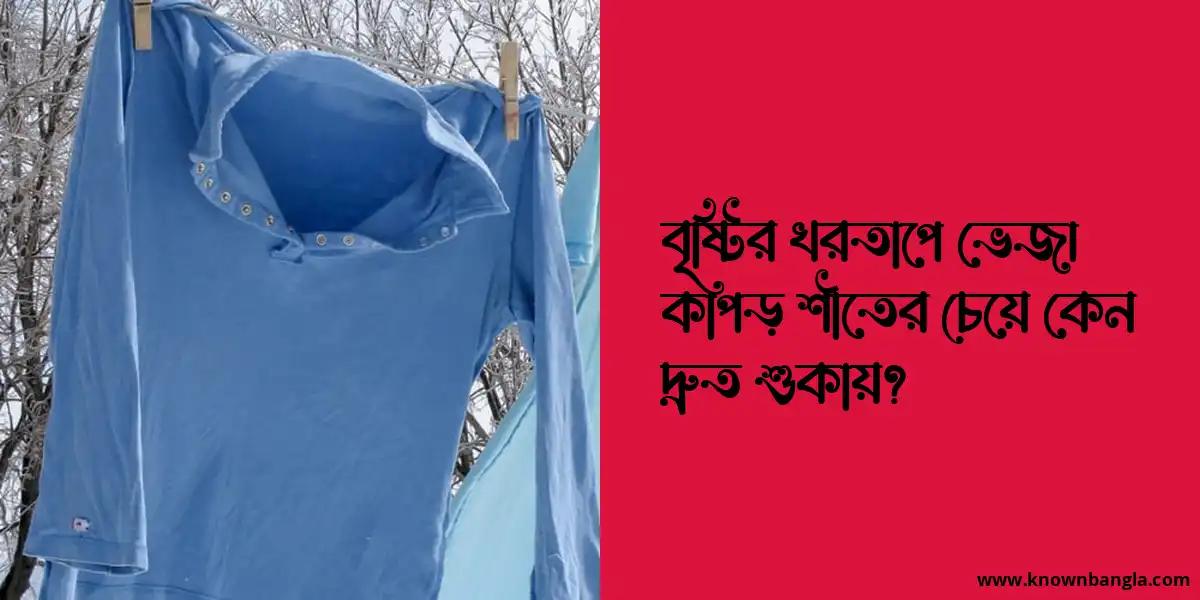 বৃষ্টির খরতাপে ভেজা কাপড় শীতের চেয়ে কেন দ্রুত শুকায়?