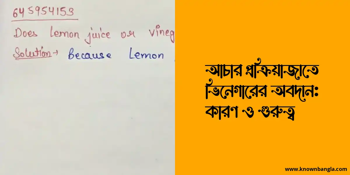 আচার প্রক্রিয়াজাতে ভিনেগারের অবদান: কারণ ও গুরুত্ব