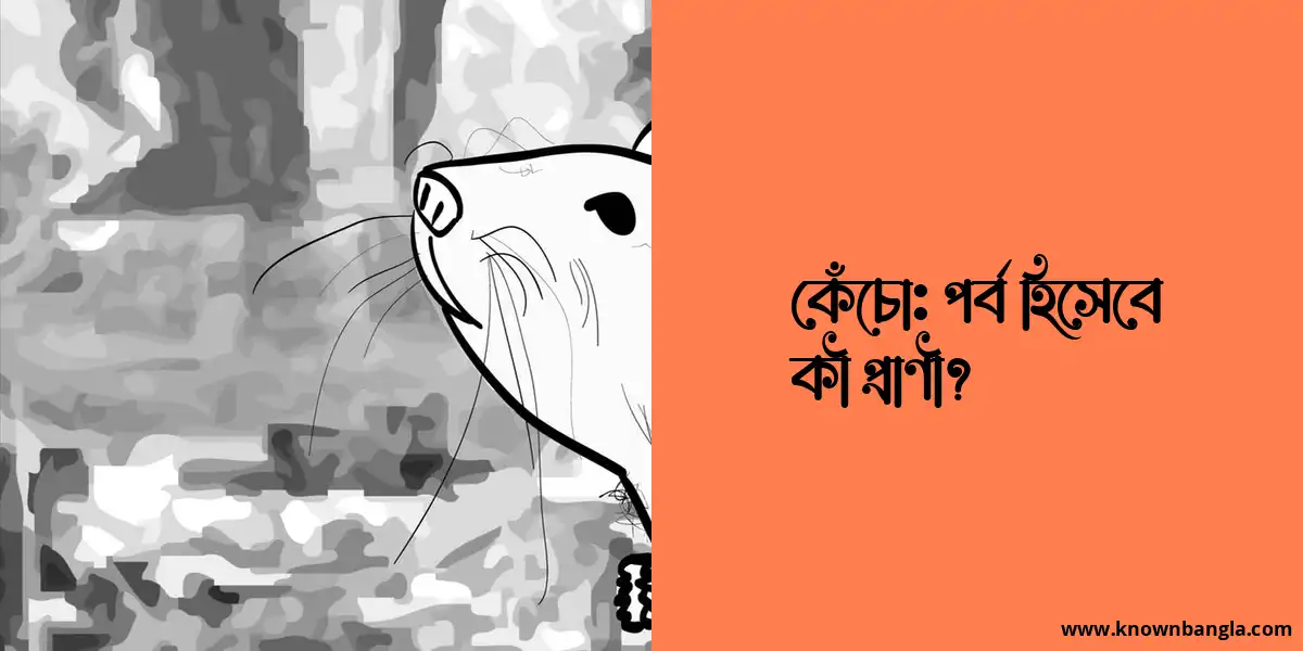 কেঁচো: পর্ব হিসেবে কী প্রাণী?