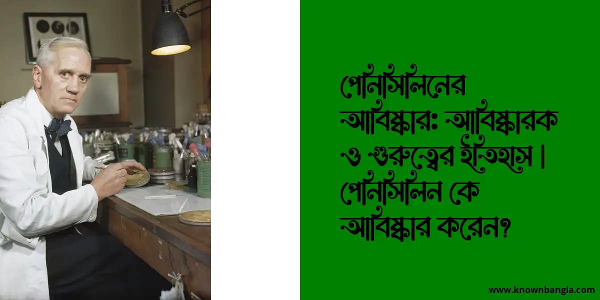 পেনিসিলিনের আবিষ্কার: আবিষ্কারক ও গুরুত্বের ইতিহাস | পেনিসিলিন কে আবিষ্কার করেন?