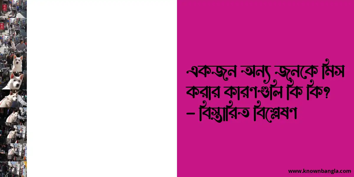 একজন অন্য জনকে মিস করার কারণগুলি কি কি? – বিস্তারিত বিশ্লেষণ