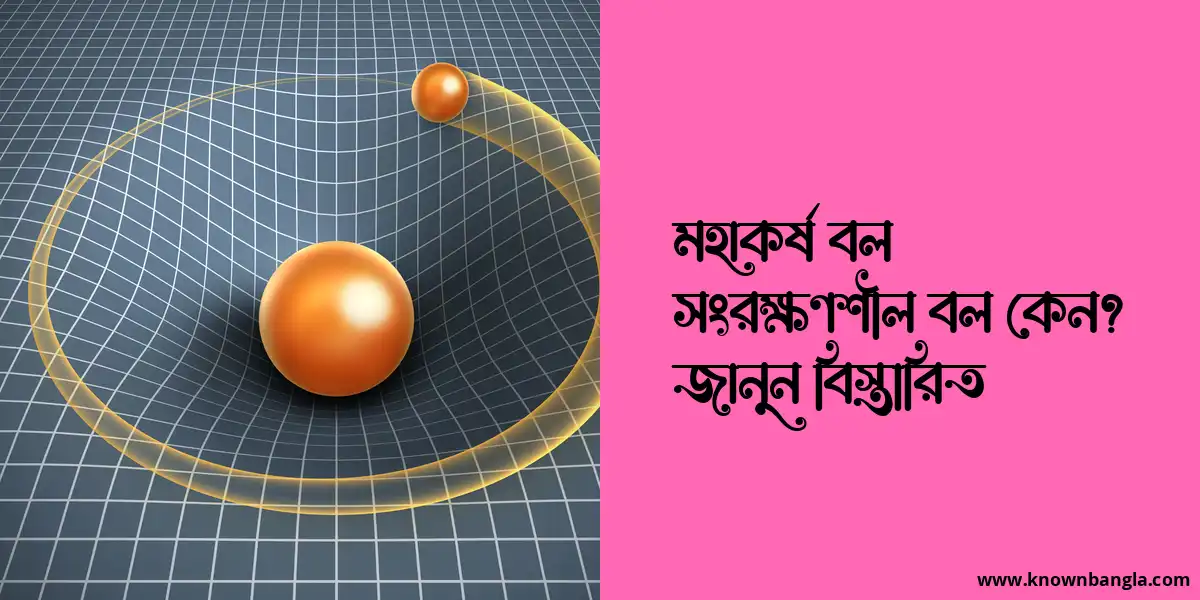 মহাকর্ষ বল সংরক্ষণশীল বল কেন? জানুন বিস্তারিত