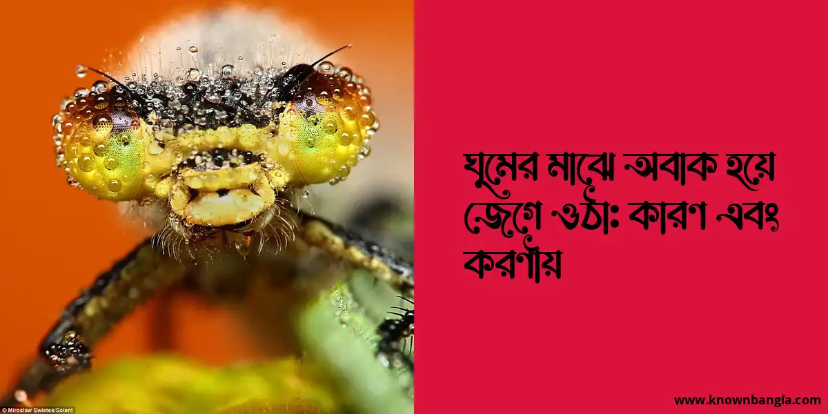 ঘুমের মাঝে অবাক হয়ে জেগে ওঠা: কারণ এবং করণীয়