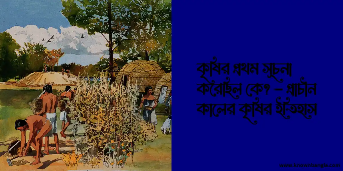 কৃষির প্রথম সূচনা করেছিল কে? – প্রাচীন কালের কৃষির ইতিহাস