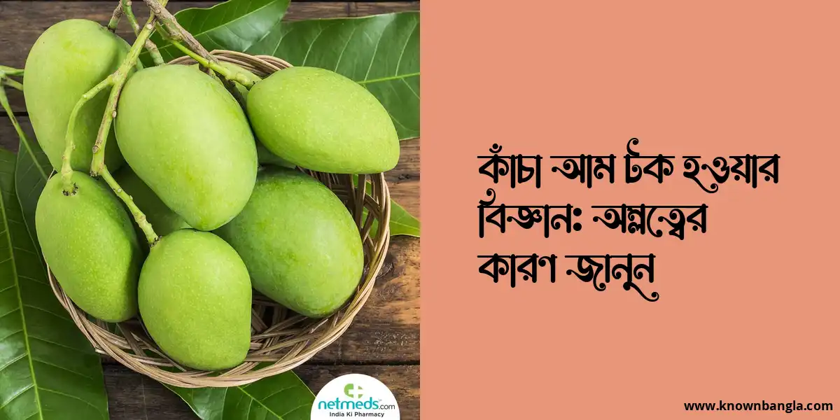 কাঁচা আম টক হওয়ার বিজ্ঞান: অম্লত্বের কারণ জানুন