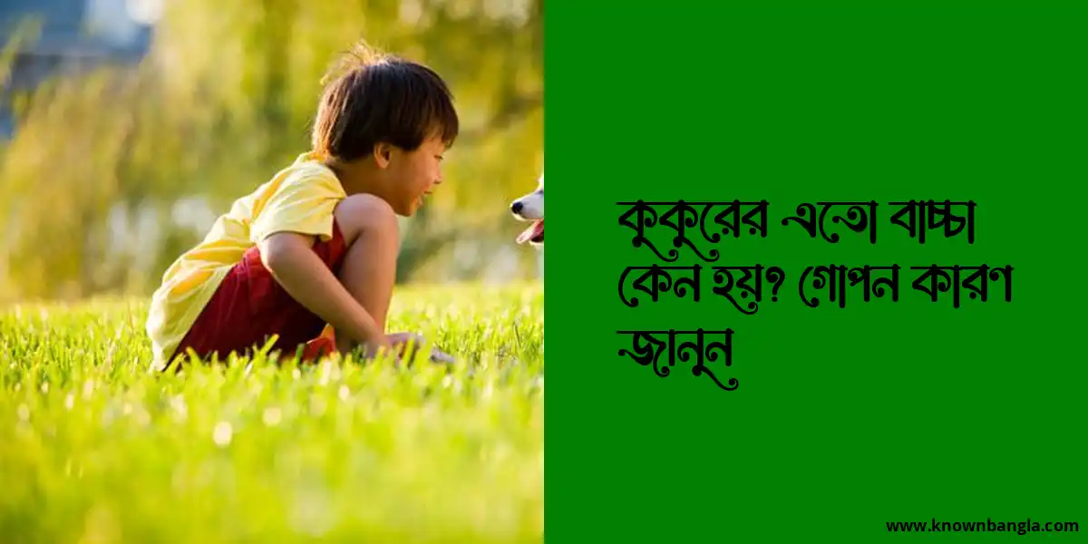 কুকুরের এতো বাচ্চা কেন হয়? গোপন কারণ জানুন