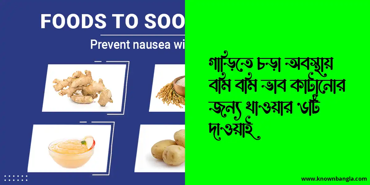 গাড়িতে চড়া অবস্থায় বমি বমি ভাব কাটানোর জন্য খাওয়ার ৬টি দাওয়াই