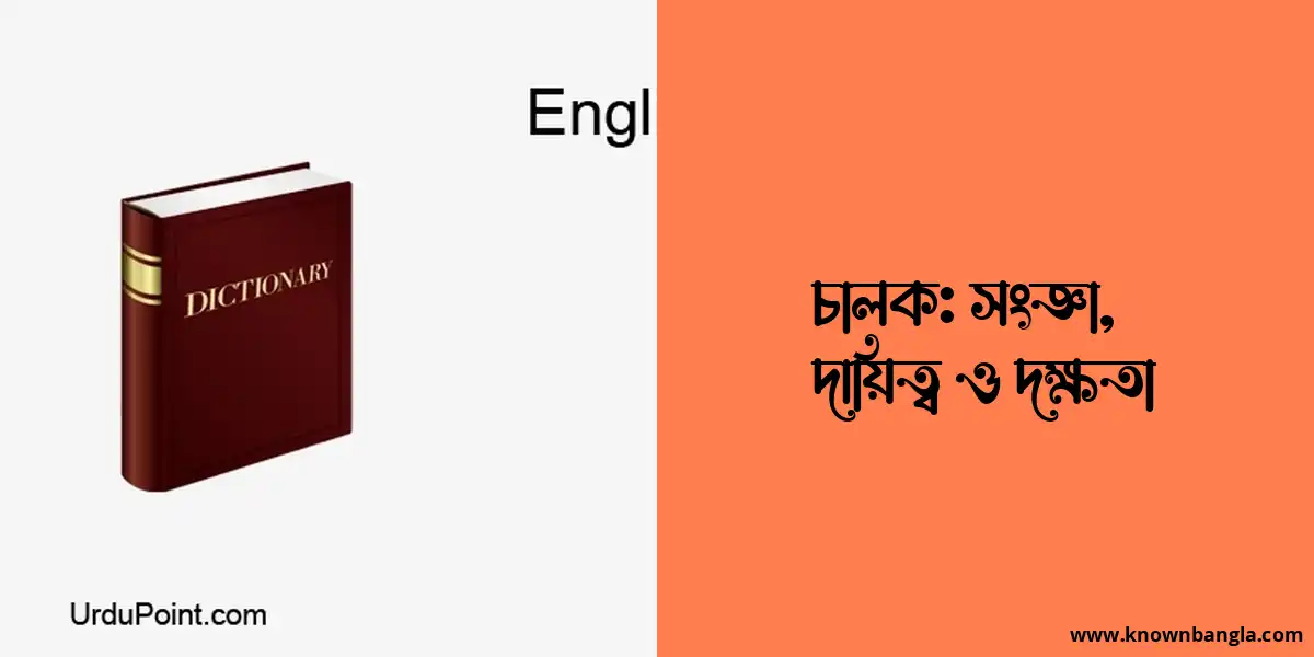 চালক: সংজ্ঞা, দায়িত্ব ও দক্ষতা