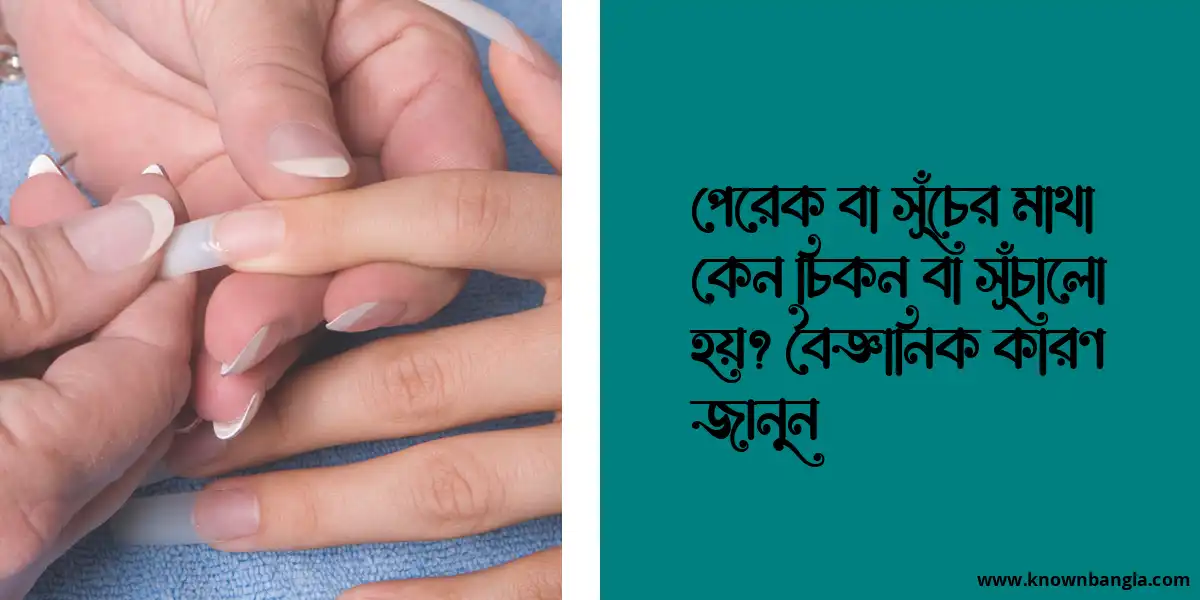 পেরেক বা সূঁচের মাথা কেন চিকন বা সূঁচালো হয়? বৈজ্ঞানিক কারণ জানুন