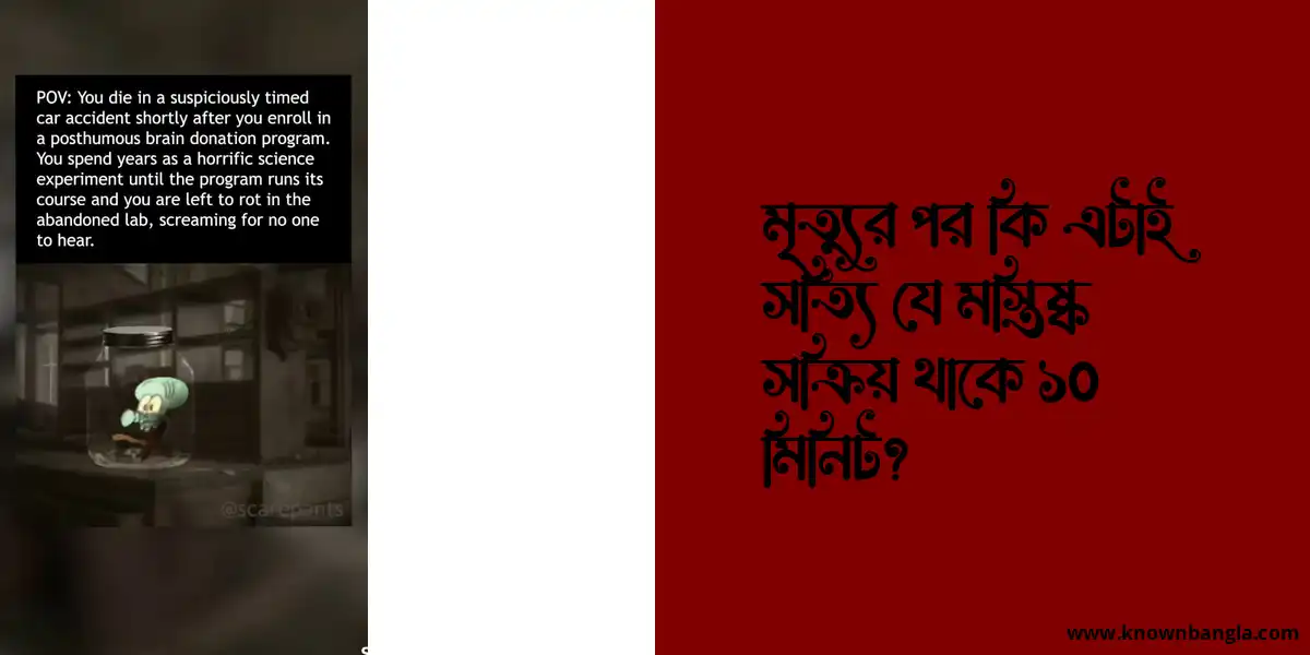 মৃত্যুর পর কি এটাই সত্যি যে মস্তিষ্ক সক্রিয় থাকে ১০ মিনিট?