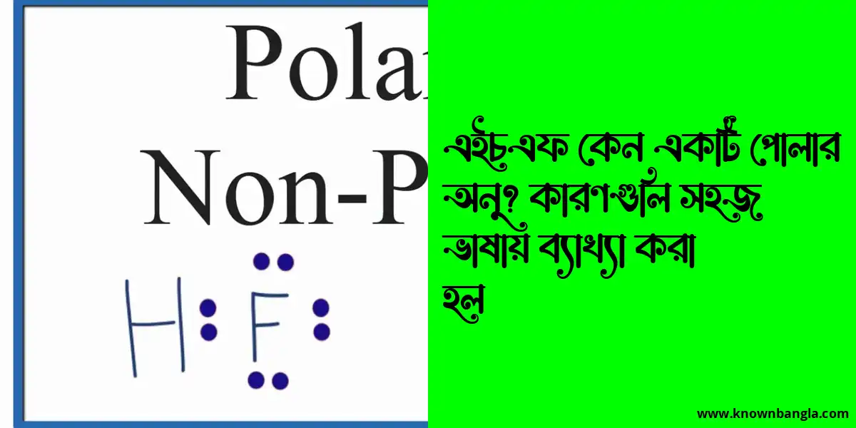 এইচএফ কেন একটি পোলার অনু? কারণগুলি সহজ ভাষায় ব্যাখ্যা করা হল