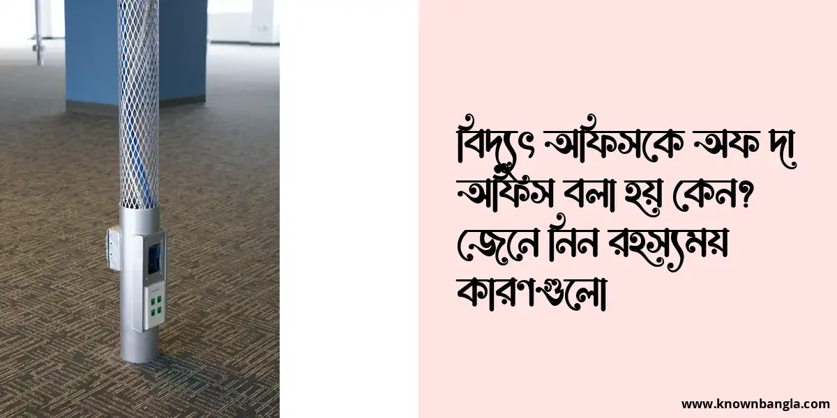 বিদ্যুৎ অফিসকে অফ দা অফিস বলা হয় কেন? জেনে নিন রহস্যময় কারণগুলো