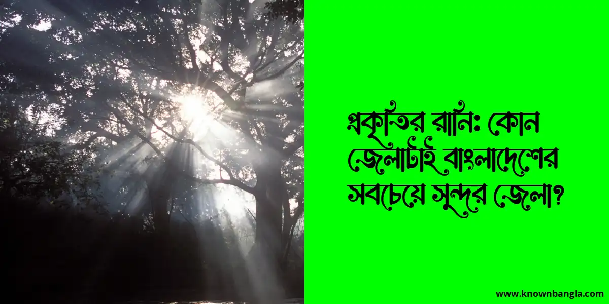 প্রকৃতির রানি: কোন জেলাটাই বাংলাদেশের সবচেয়ে সুন্দর জেলা?