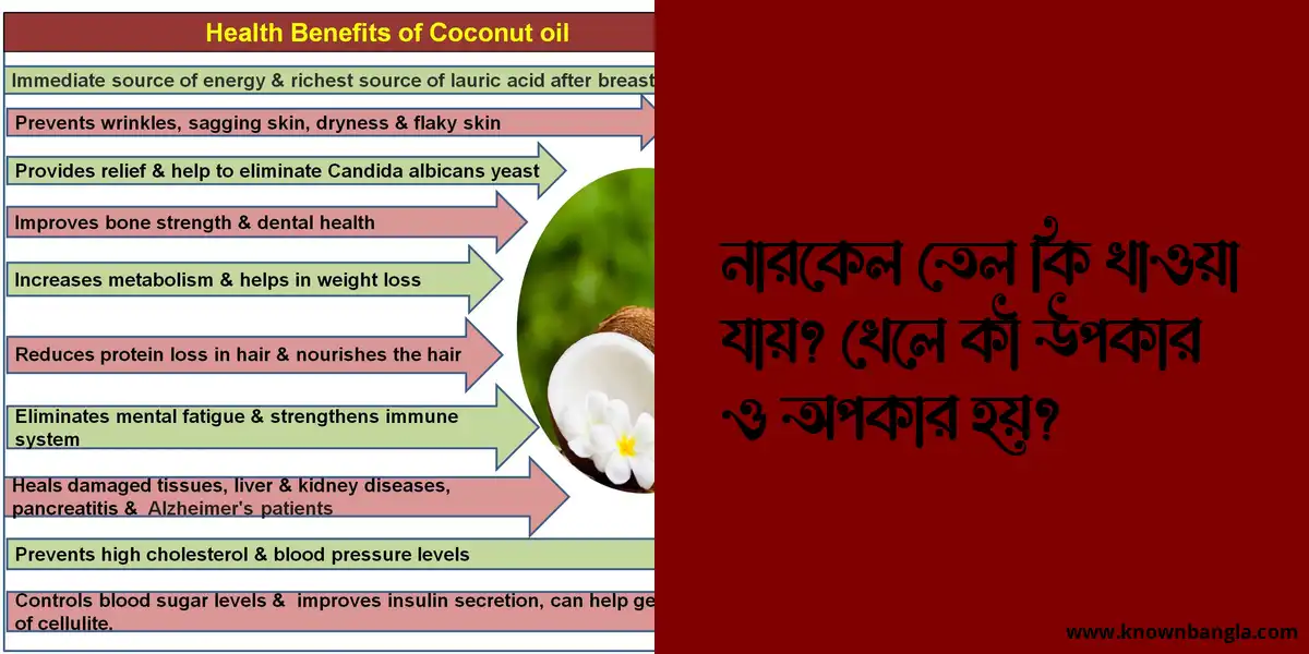 নারকেল তেল কি খাওয়া যায়? খেলে কী উপকার ও অপকার হয়?