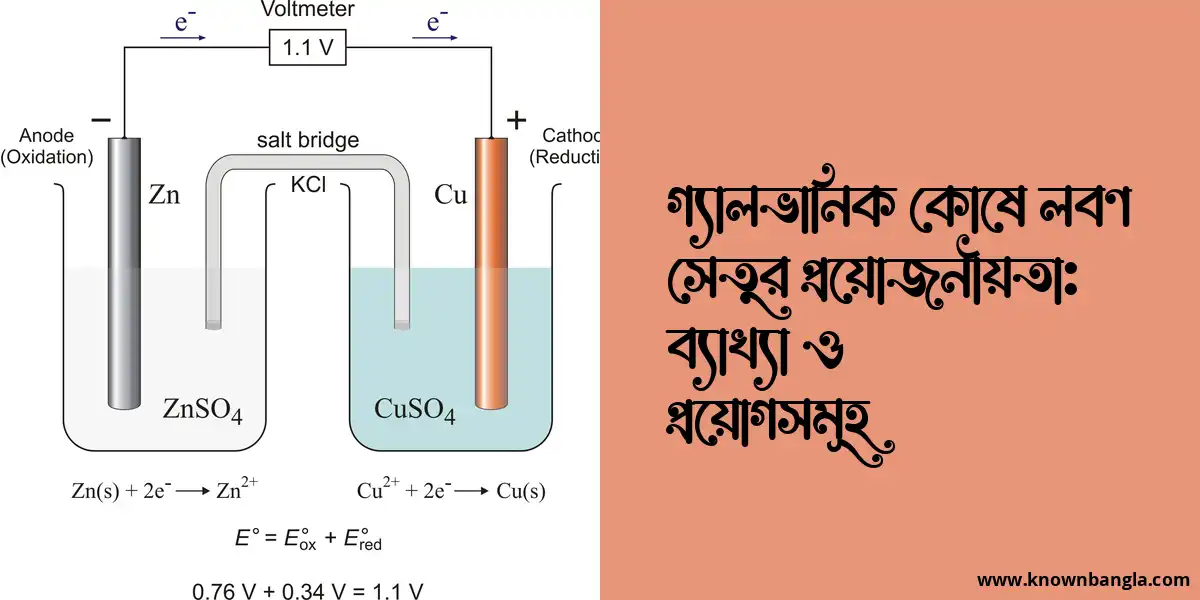 গ্যালভানিক কোষে লবণ সেতুর প্রয়োজনীয়তা: ব্যাখ্যা ও প্রয়োগসমূহ