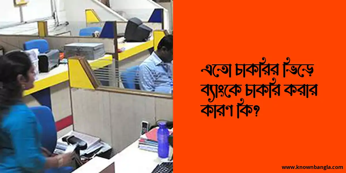 এতো চাকরির ভিড়ে ব্যাংকে চাকরি করার কারণ কি?