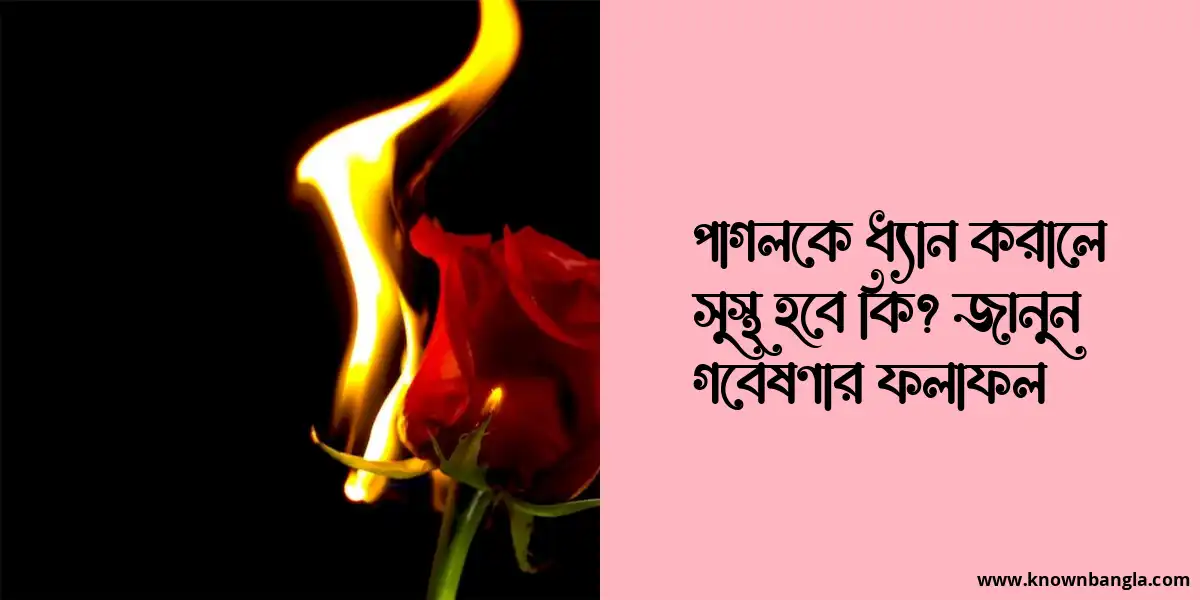 পাগলকে ধ্যান করালে সুস্থ হবে কি? জানুন গবেষণার ফলাফল